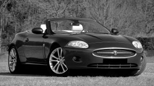 Sleek Jaguar convertible sports car in a grayscale outdoor setting. Élégante voiture de sport Jaguar décapotable dans un cadre extérieur en nuances de gris.